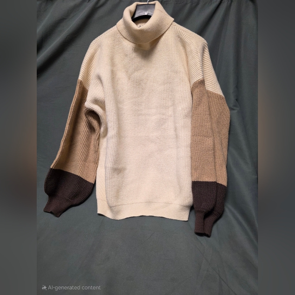 POL Men's Turtleneck Sweater in Cream and Brown